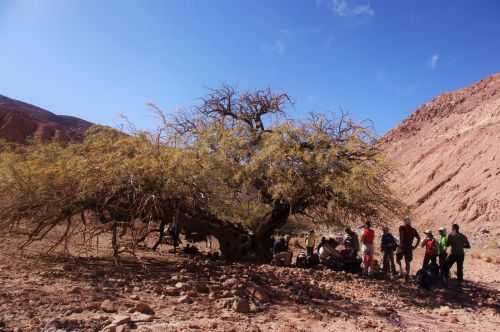 TREKKING NEL DESERTO DI ATACAMA 2015